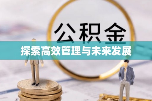 清原探索高效管理与未来发展