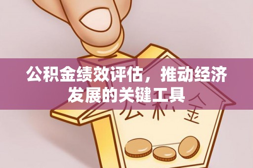 清原公积金绩效评估，推动经济发展的关键工具