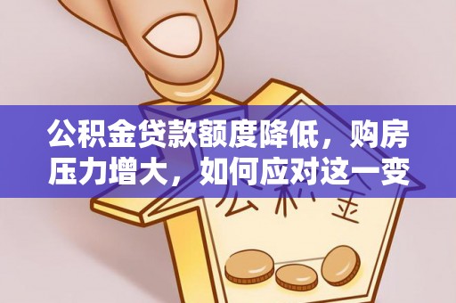 清原公积金贷款额度降低，购房压力增大，如何应对这一变化？