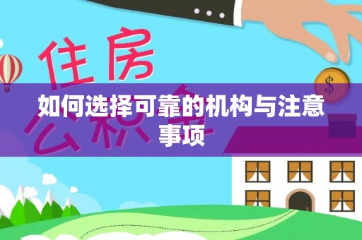 清原如何选择可靠的机构与注意事项