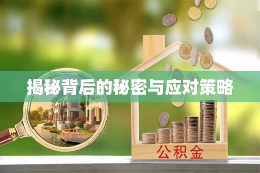 清原揭秘背后的秘密与应对策略