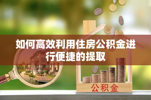 清原如何高效利用住房公积金进行便捷的提取