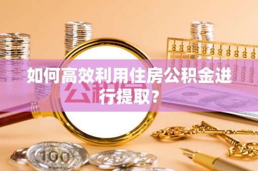 清原如何高效利用住房公积金进行提取？