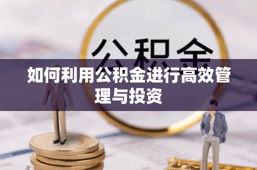 清原如何利用公积金进行高效管理与投资