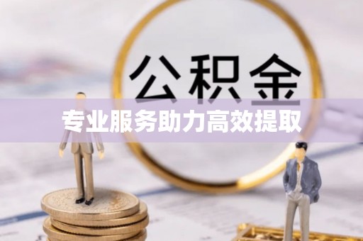 清原专业服务助力高效提取