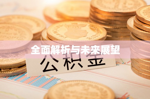 清原全面解析与未来展望