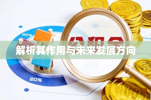清原解析其作用与未来发展方向